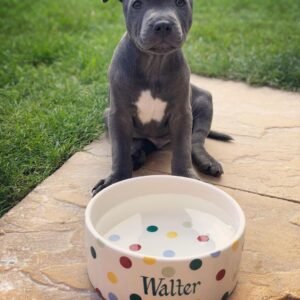 Walter